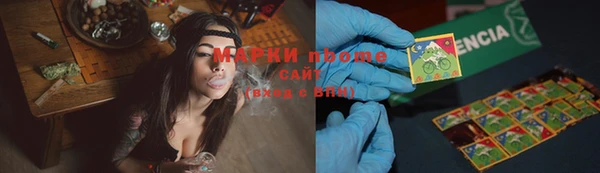 хмурый Алзамай