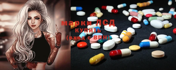 хмурый Алзамай
