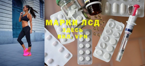 хмурый Алзамай